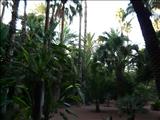 Marrakech_Majorelle004