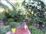 Marrakech_Majorelle009