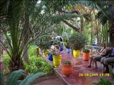 Marrakech_Majorelle014