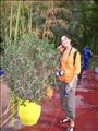 Marrakech_Majorelle017