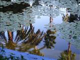 Marrakech_Majorelle018