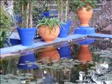 Marrakech_Majorelle022