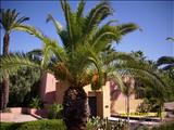 Marrakech_tour_bus_012