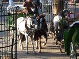 Marrakech_tour_bus_031