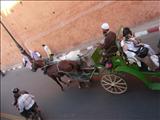 Marrakech_tour_bus_036