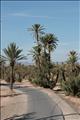 Marrakech_tour_bus_062