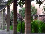 Rabat_045