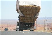 Morocco_The_Desert009