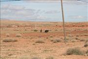 Morocco_The_Desert010