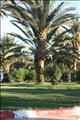 Morocco_The_Desert038