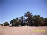 Morocco_The_Desert126