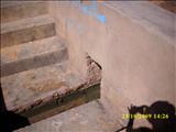 Morocco_The_Desert127