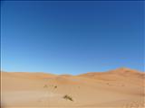 Morocco_The_Desert128