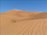 Morocco_The_Desert131