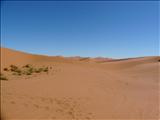 Morocco_The_Desert134