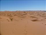 Morocco_The_Desert149