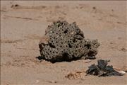 Morocco_Sidi_Orsic_beach011