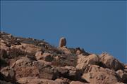 Morocco_Sidi_Orsic_beach012