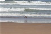 Morocco_Sidi_Orsic_beach013