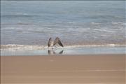 Morocco_Sidi_Orsic_beach016
