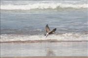 Morocco_Sidi_Orsic_beach020