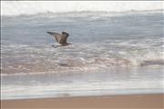 Morocco_Sidi_Orsic_beach022