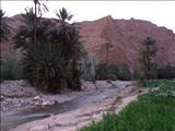 Morocco_Todra_Gorde025