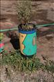 Morocco_Todra_Gorde033