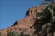 Morocco_Todra_Gorde035
